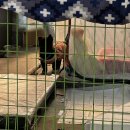 (주)따신밥한그릇 | 아이제더이상은미룰수가없는것이에요