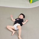 타요방방 이미지