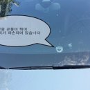 금강차유리 - 홍성군 문화로 116 | 금강차유리