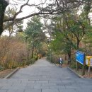 제주 서귀포 외돌개 이미지