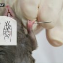 은덕한의원 이미지