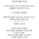 예향공인중개사사무소 이미지