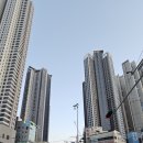 유림-1157 이미지