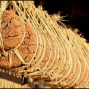 마을게시판 이미지