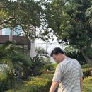 서귀포 이마트 앞 | [제주도서귀포펜션] 모나코 풀펜션, 이국적인 제주온수풀 아기랑 1박2일 솔직 후기