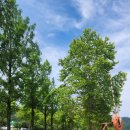 정양레포츠공원 | 19개월 아기와 대구 근교 모래놀이 물놀이 [합천 정양 레포츠 공원] 근처 맛집, 카페 정보 까지