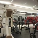 동천헬스 | 분당 동천 헬스장 뉴라이프짐 동천점 체험 후기 헬스 필라테스 PT까지 올인원