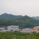 백산농산