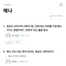 에나호두