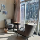 연세라메오르정형외과의원 | 가로수길 정형외과 연세라메오르정형외과 줄기세포 안티에이징 케어받았어요
