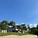 페니키아 | 내돈내산 양평 페니키아 대형카페 오리 물멍 후기
