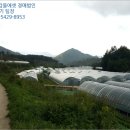 광산초등학교흘리분교장 이미지