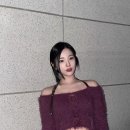 앨리스 핏 이미지