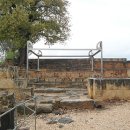 금송아지 이미지