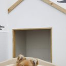 별난동물병원 이미지