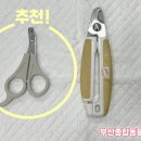 부산종합동물병원 이미지