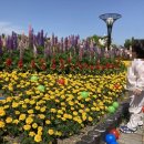 주식회사위드퍼스트