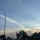 위너스식당