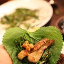 낙동생오리 이미지