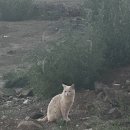 종생농장 이미지