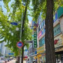 미추홀내과의원 | 미추홀구 내과 종합건강검진(기본 검진, 혈액검사, 초음파, 위대장 수면내시경)