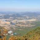 금강순대 이미지