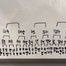 땅콩 애견유치원 이미지