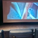 시네마약국 | 롯데시네마 모아나 2 후기: 신한 레이디 클래식 무료 팝콘 실패 이야기 🎥🍿