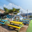 가평가보자독채애견풀빌라수영장 이미지