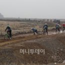 씽씽 리프레쉬 머니투데이