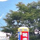 안민로-1 이미지