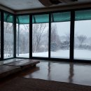 몸살림체조 이미지