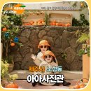 돌담추억 | 제주돌담사진관 신제주 아아사진관에서 찍어요