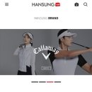 한성인력 이미지
