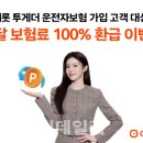 캐롯 카카오 검색결과