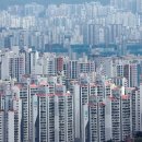 선부동산 공인중개사사무소 이미지