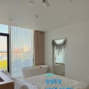 상상초당 | [강릉] 감성 가득 숙소 상상초당 302호 | 내돈내산 솔직후기