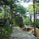 나무새 관광농원 이미지