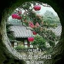 호박넝쿨 이미지