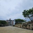 상지아이들유치원 이미지