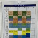 웰빙요가(입문) 이미지