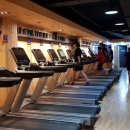 시즌스크린골프 이미지