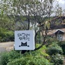 도시고양이생존연구소 | 하동 게스트하우스 도시고양이생존연구소 도미토리 후기