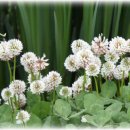 일탈을꿈꾸며 이미지