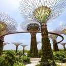 꿈의 정원 이미지