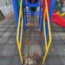 홍익늘푸른어린이집 이미지