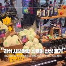 6621 | 도쿄 러쉬 시부야역 스토어 2026년 신상 슈퍼 마리오 갤럭시 콜라보 신상 내돈내산 후기