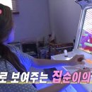 라이프오락실 이미지