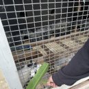 무수목장 이미지