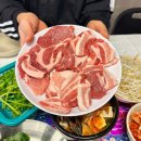 가락중앙할머니경로당 | 가락시장역 삼겹살 맛집 은하식당 한돈 암퇘지 한판과 대왕 육전 조합,, 솔직히